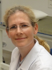 Franziska Häfner, Rheumatologie